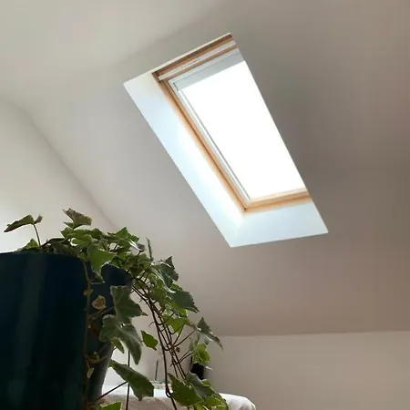 Apartamento No Chiado アパート *